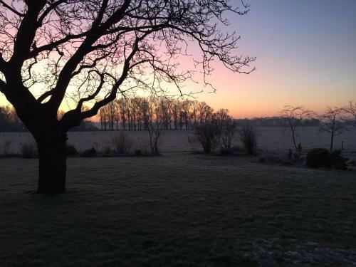 Bed & Breakfast De Olde Veld Hoeve