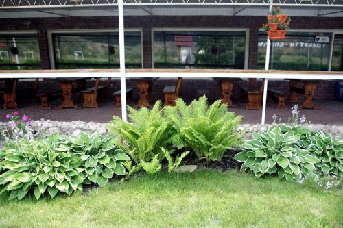 Hotel Lovchiy Plus