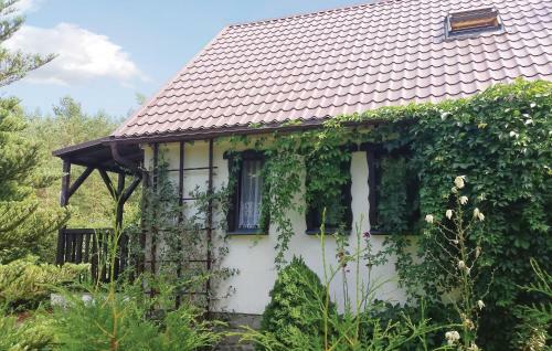 Holiday Home Dziemiany Radun
