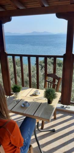 Villa Leonidas Greecegrandtour