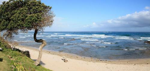 Apartamento Neptunes Cove