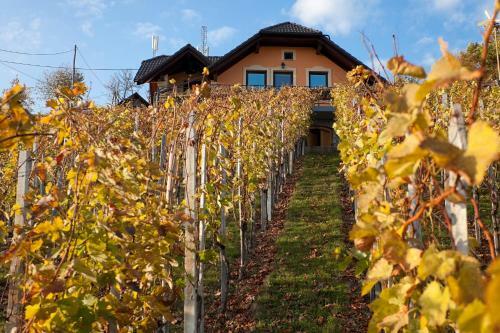 Vineyard Cottage Bregac