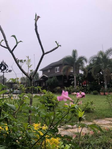 Hostal Yiyue Guanhe Homestay ??????