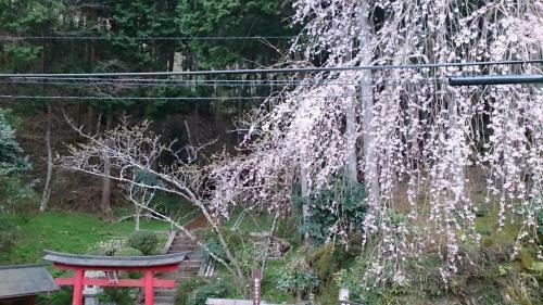 Hostal Miyoshino Sakuraan