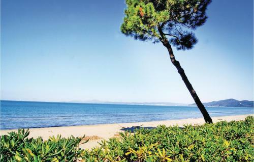 Apartamentos Azzurro 1