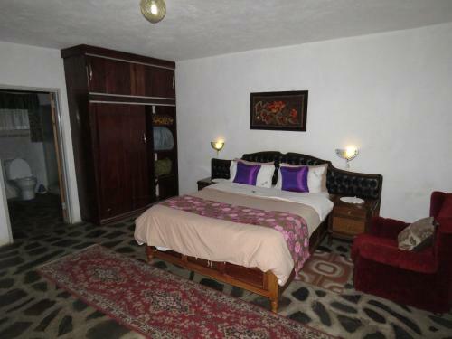 Parrot Lodge
