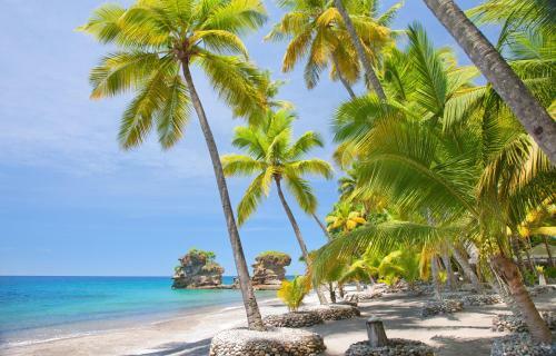 Hotel Anse Chastanet Resort