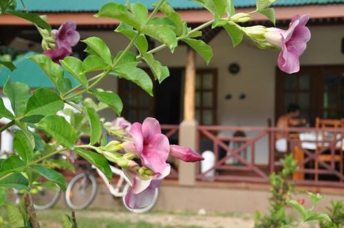 Hostal Paodise Guesthouse
