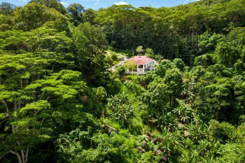 Hostal Janes' Serenity Guesthouse