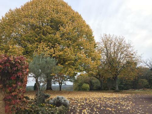 Bed & Breakfast Domaine de Lascaux