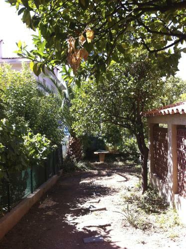 Bed & Breakfast Villa Tricia Cannes