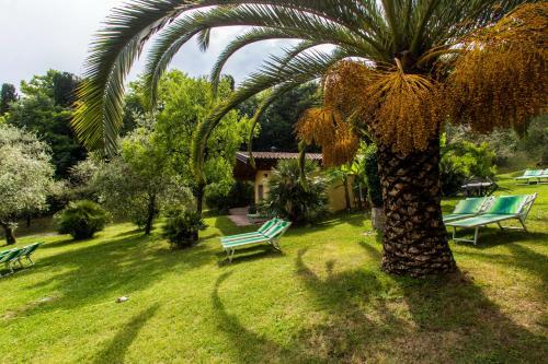 Apartamento Appartamenti Livia