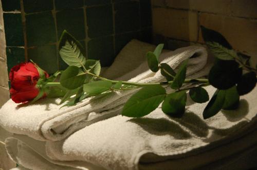 Riad La Maison Verte