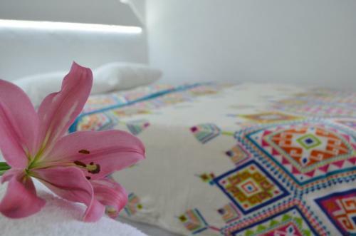 Hotel Vicalis
