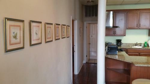 River View Apartment