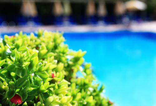Hotel Santa Marina Beach