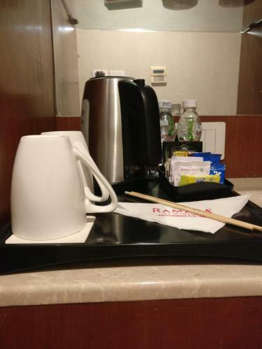 Hotel Ramada Ahmedabad