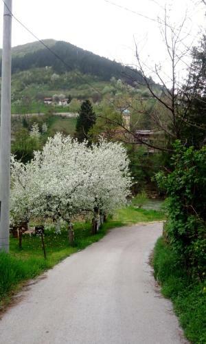 Hostal Guest House Edina Visoko
