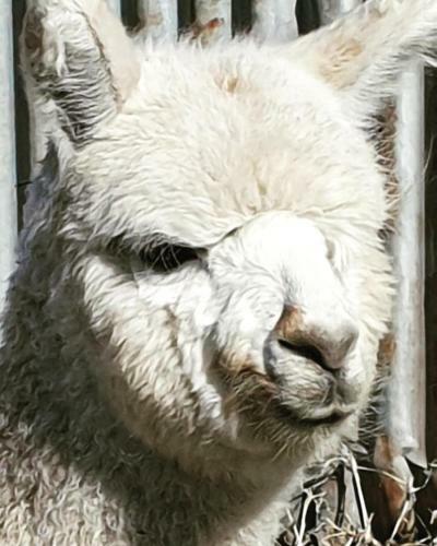 Straw House Farm B&B