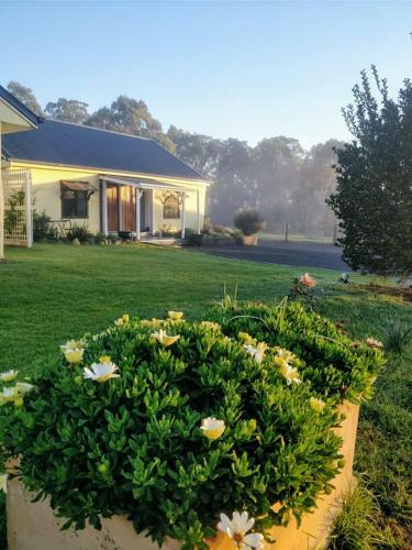 Straw House Farm B&B