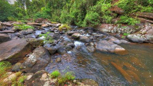 Bed & Breakfast Riversong Retreat