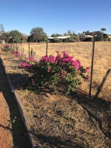 Albergue Longreach Outback Adventures