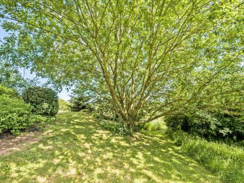 Charming Apartment In Weinsheim With Garden