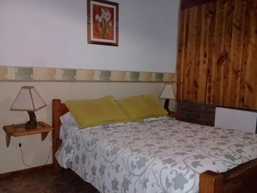 Lodge Caba�as Mapuche