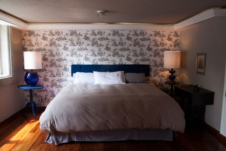 Pug Seal B&B Coyoacan
