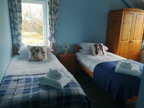 Bed & Breakfast Ty Newydd