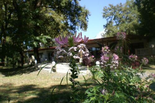 Hotel Kvareli Oaks