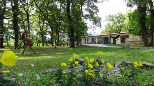 Hotel Kvareli Oaks