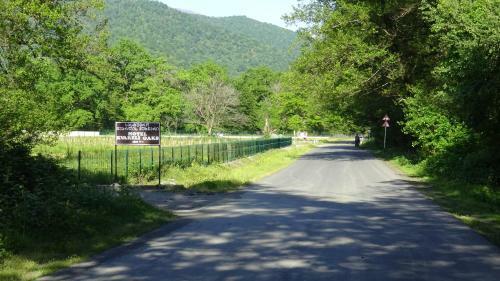 Hotel Kvareli Oaks