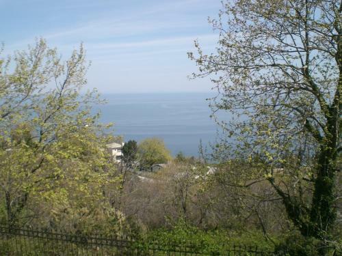 Hostal Pension Panos