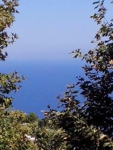 Hostal Pension Panos