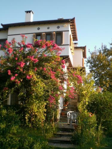 Hostal Pension Panos