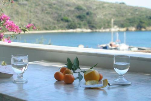 Apartamento Irena