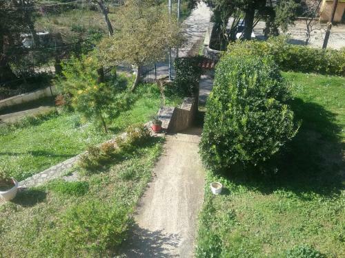 Apartamento Olive Luxouri