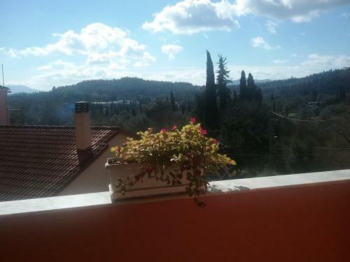 Apartamento Olive Luxouri