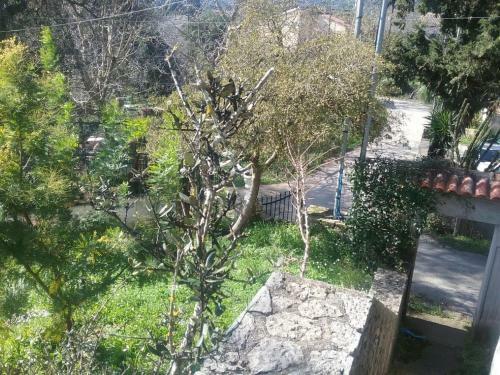 Apartamento Olive Luxouri
