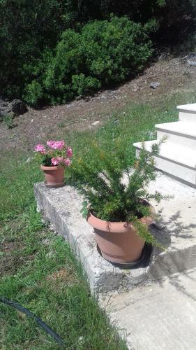 Apartamento Olive Luxouri