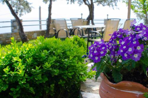 Apartamento Guesthouse Enastron