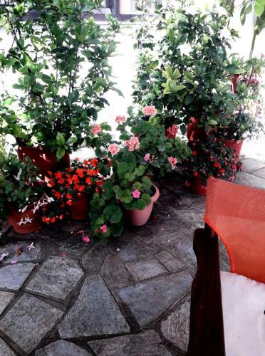 Hotel Aegeus