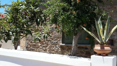 Granny's Olive Mill Villa