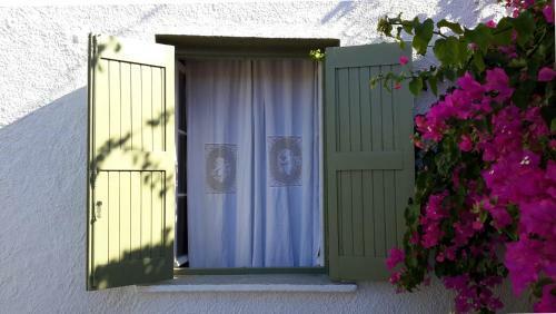 Granny's Olive Mill Villa