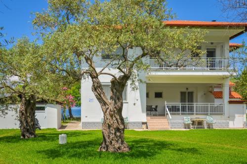 Apartamento Studios Avra