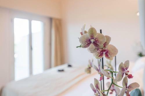 Hotel Zoe Seaside Resort