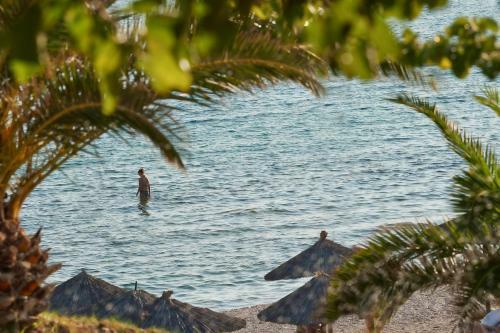 Hotel Alexandra Beach Spa Resort