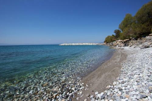 Apollon Apartments
