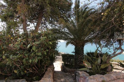 Apollon Apartments